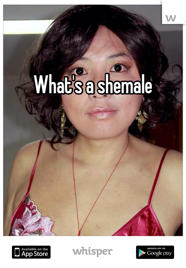 What Is A Shemale